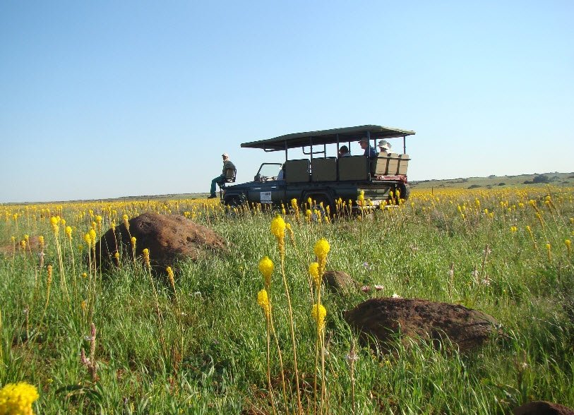 Hantam National Botanical Garden, South Africa , South Africa